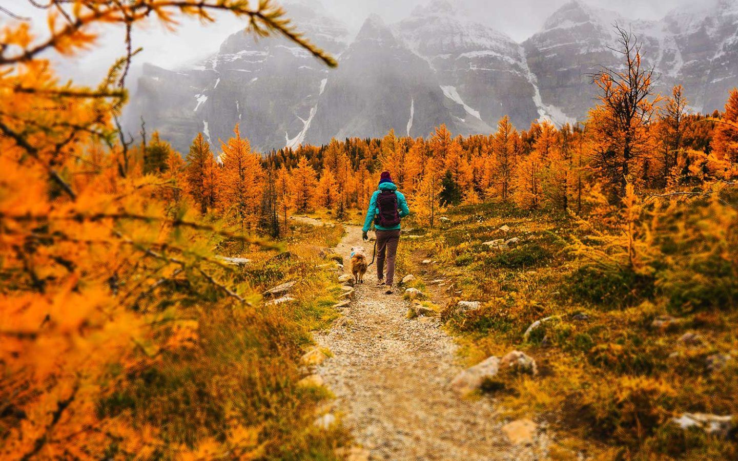 a person walking a dog on a trail in the mountains