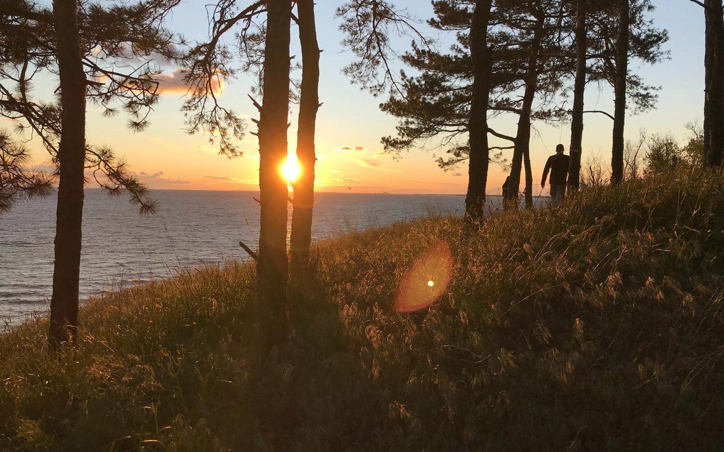 a couple of people standing on top of a grass covered hillside