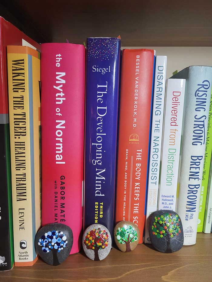 colourful textbooks sitting on a shelf