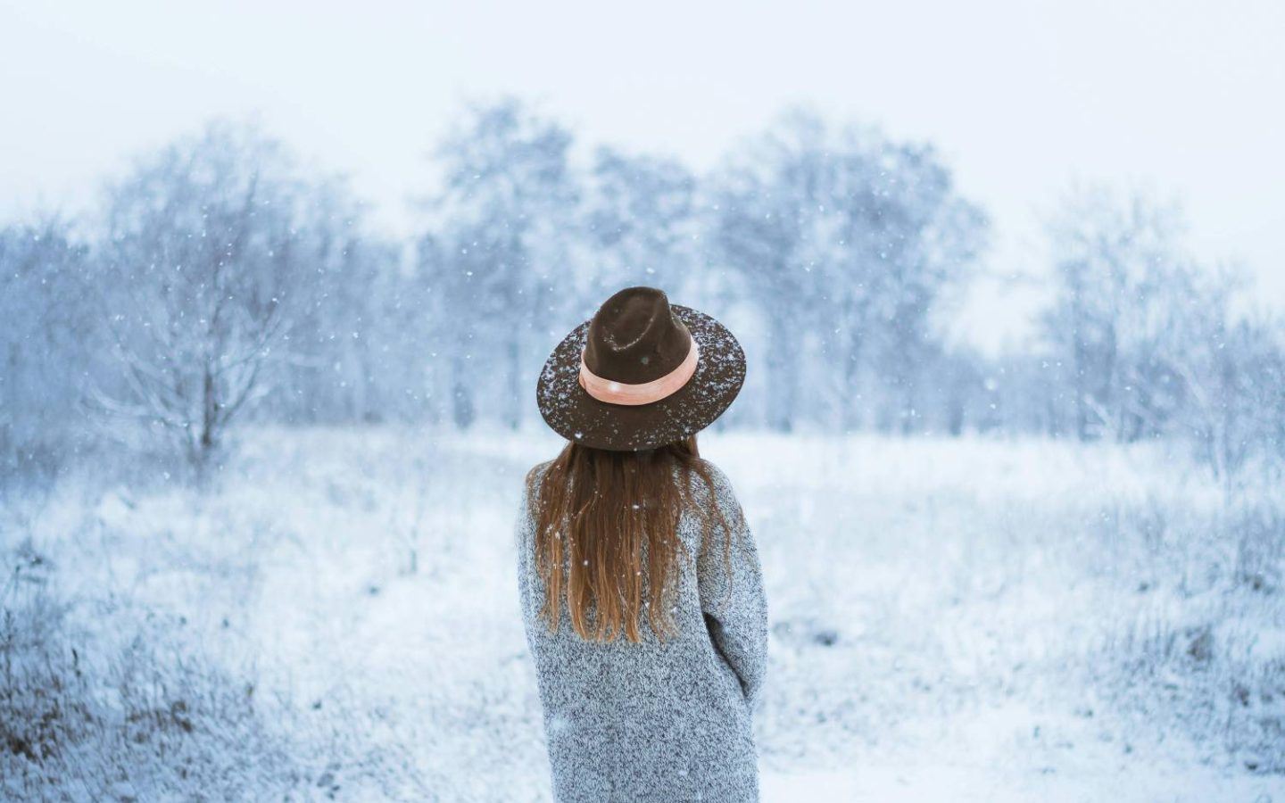 a woman overlooking a snowy field